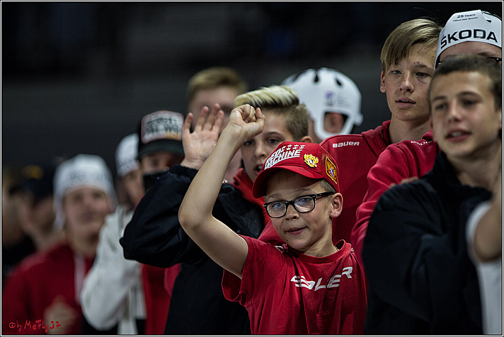 IIHF WM 2017, Daenemark - Schweden, 14.05.2017